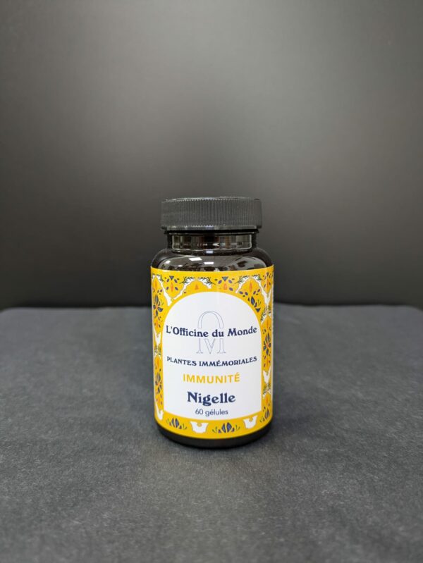 L'officine du monde – Image 4